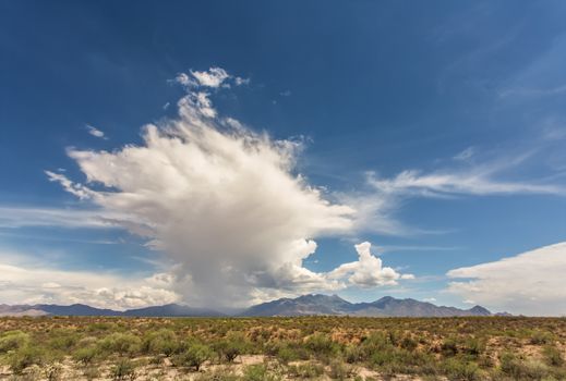 Rain storm build up near mountain in Arizona desert