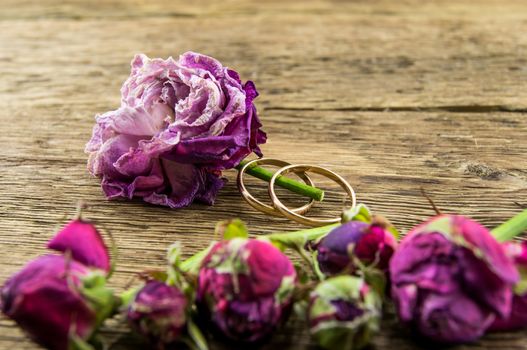 Red rose over wooden background. For your commercial and editorial use.