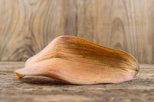 diseased leaf orchid lie on a wooden background.