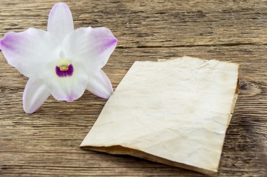 orchid flower on wooden background with space for inscriptions