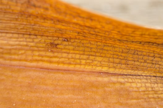 diseased leaf orchid lie on a wooden background.