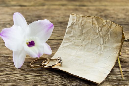 orchid flower on wooden background with space for inscriptions