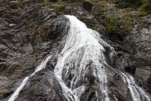 Waterfall in the jungle, a beautiful view of the steep rock .Indiya Goa.