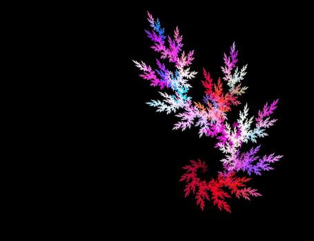 Multicolor fractal flower on black background. Computer generated graphics