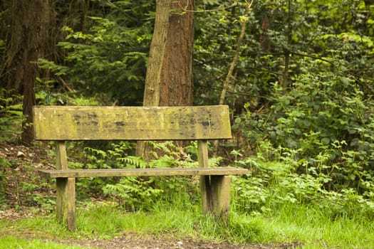 Old bench found during a walk in the woods in buckinghamshire