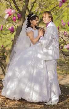 Newlyweds on nature background with blossoming magnolias.