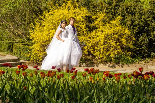 couple in love bride and groom together in wedding summer 