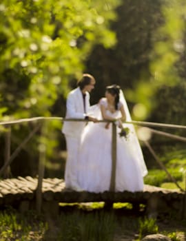 Happy bride and groom on a wooden bridge in the park at the wedding walk