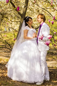 Newlyweds on nature background with blossoming magnolias.