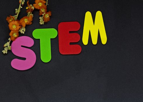 STEM area of education represented by letters STEM shown with flowers to highlight importance of Science, Technology, Engineering, and Mathematics. Black background with copy space on horizontal image. 