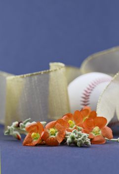 Orange mallow blossoms in shallow depth of field focus that holds gold ribbon and baseball behind. Copy space on blue of vertical image. 