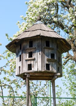 Old wooden dovecote. Museum Uzhgorod, Ukraine.