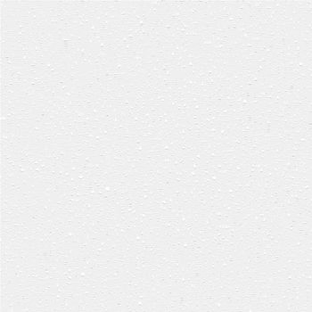 The Raster High Resolution Blank White Paper