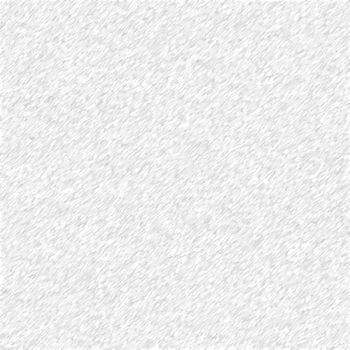 The Raster High Resolution Blank White Paper