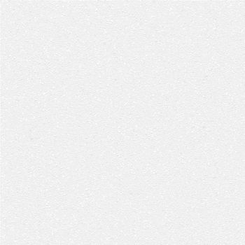 The Raster High Resolution Blank White Paper