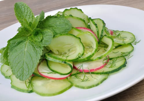 Salad cucumber with radish, dill and mint