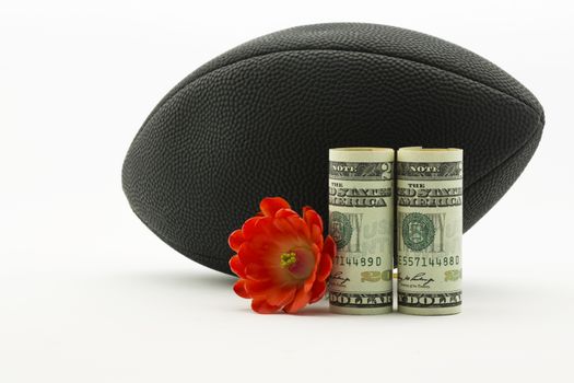 American currency with red flower in front of black football; white background and copy space; 