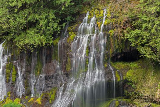 Panther Creek Falls in Skamania County Washington State Forest