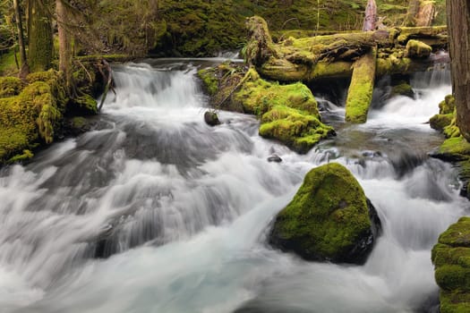 Panther Creek Falls in Washington State Forest