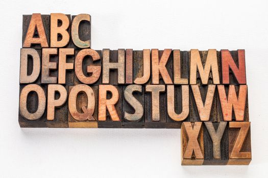 English alphabet abstract - vintage letterpress wood type printing blocks on white arr canvas