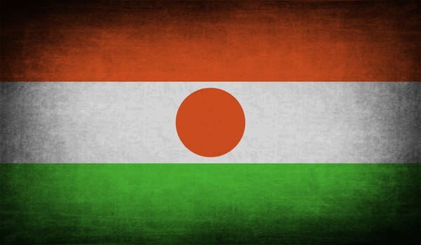 Flag of Niger with old texture.  illustration