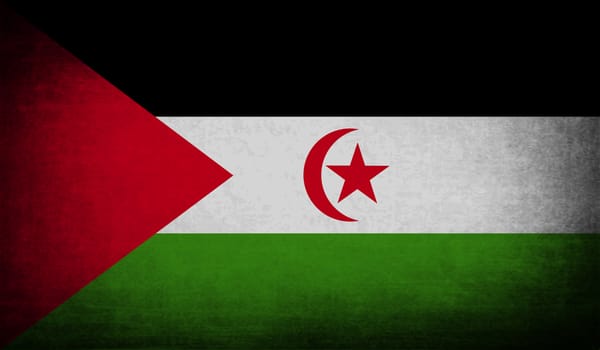 Flag of Western Sahara with old texture.  illustration