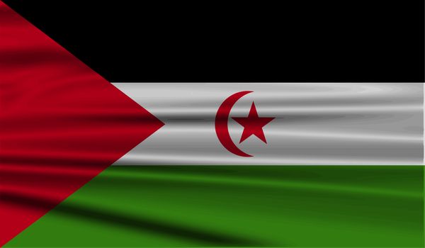 Flag of Western Sahara with old texture.  illustration