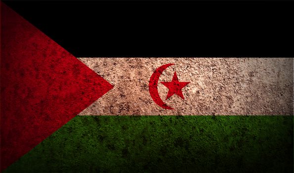 Flag of Western Sahara with old texture.  illustration