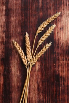 Dried barley on brown wooden background, top view. Organic cereal crop. Agricultural background with copy space.  