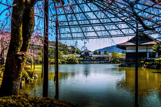 Japanese garden in Kyoto