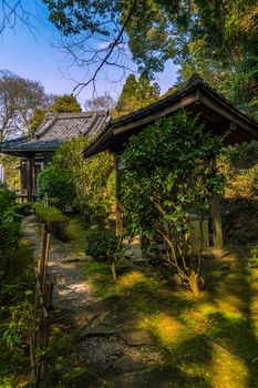 Temple garden in the forest