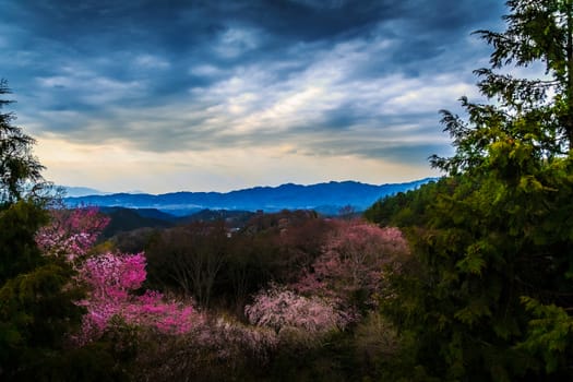 japanese mountains