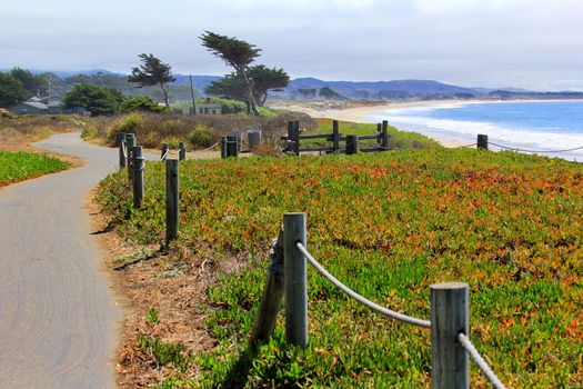 Coast Half Moon Bay. California, USA