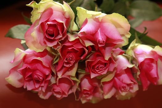 Bouquet of fresh red roses close-up