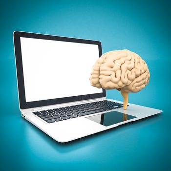 model of the brain and white laptop on a blue background