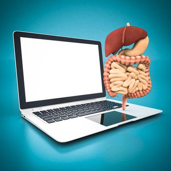 model of the digestive system and white laptop on a blue background