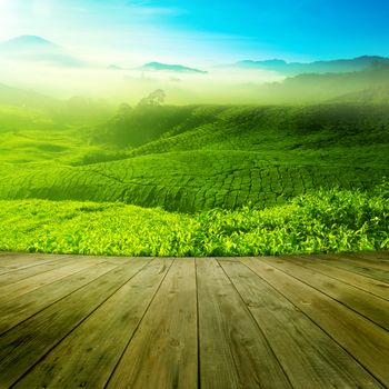 Wood platform landscape view of tea plantation with blue sky in morning. Beautiful tea field Cameron Highlands in Malaysia.