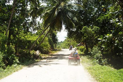 Tropical forest with ATV's driving in Cayo Levantado, Dominican Republic.