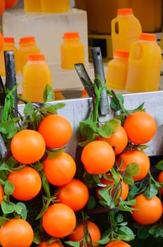 Plastic Oranges with Juice on Market Stall