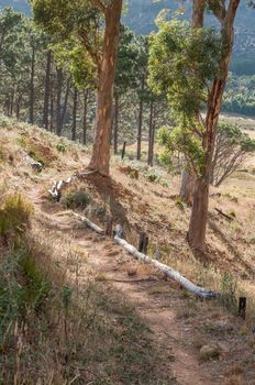 Footpath in the wildlife reserve on Wedderville Estate near Sir Lowrys Pass