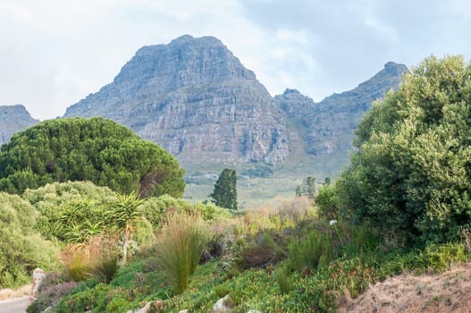 View of the farm Hidden Valley with the Helderberg (Clear Mountain) in the back