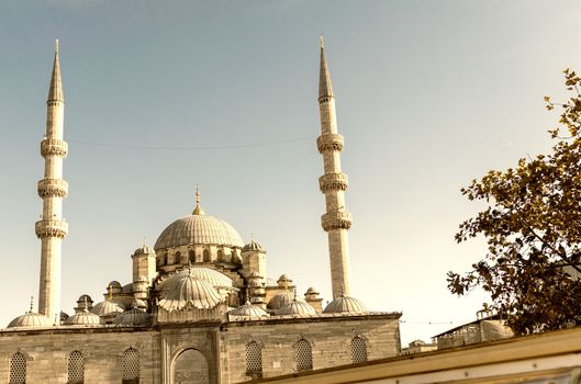 Istanbul. View of Blue Mosque.