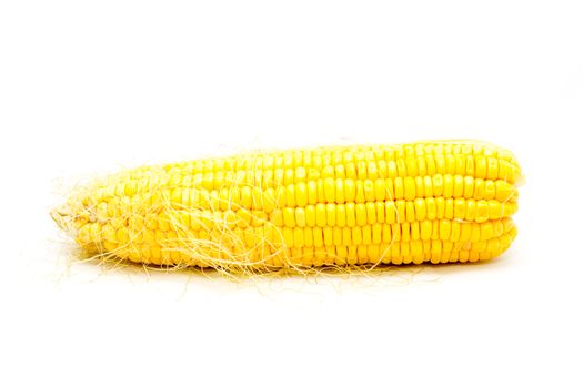 Boiled corn on white background