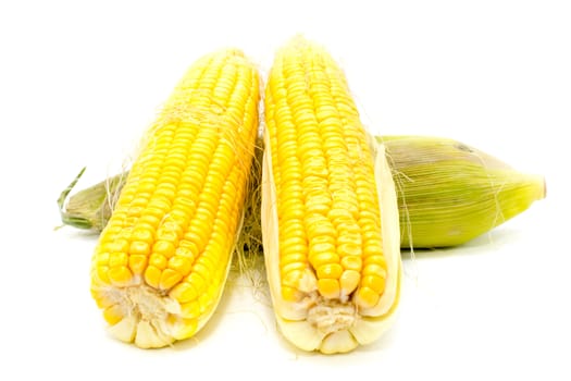 Boiled corn on white background