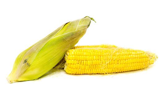 Boiled corn on white background