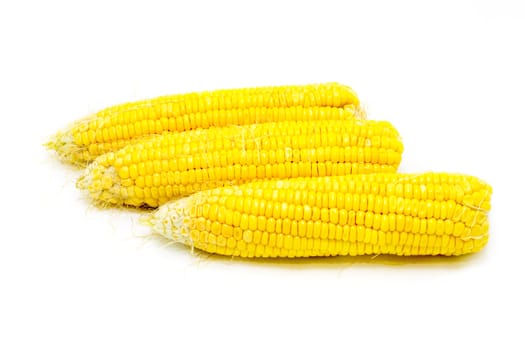 Boiled corn on white background