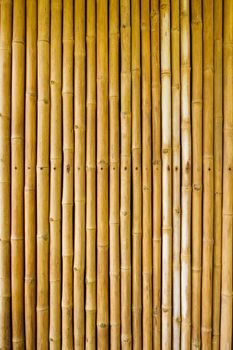 bamboo fence background