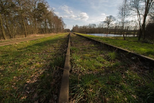 Old railway line "Borkense Course" near the German border in the municipality of Winterswijk. 
Previously ran here a railway line from Winterswijk to Borken in Germany. In 1989, the grounds of the Dutch railways transferred to a protected natural monument. The flora and fauna is very special in this protected area. Especially the sand lizard occurs between the stones of the old railway.