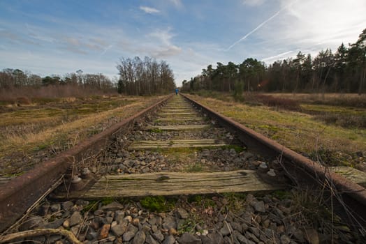 Old railway line "Borkense Course" near the German border in the municipality of Winterswijk. 
Previously ran here a railway line from Winterswijk to Borken in Germany. In 1989, the grounds of the Dutch railways transferred to a protected natural monument. The flora and fauna is very special in this protected area. Especially the sand lizard occurs between the stones of the old railway.