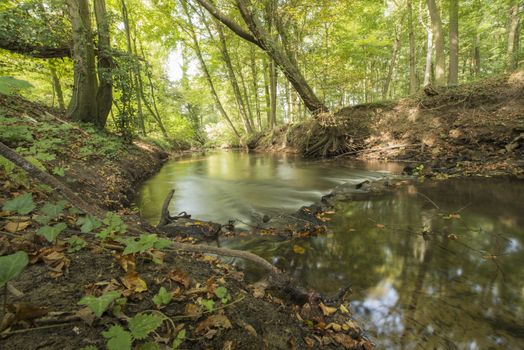 Protected Brook near Winterswijk in the East of the Netherlands in the fall. Brook called "Boven-Slinge" nearby the German border.